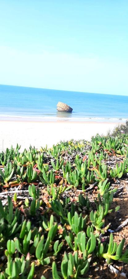 Caracola Beach Matalascañas Buitenkant foto